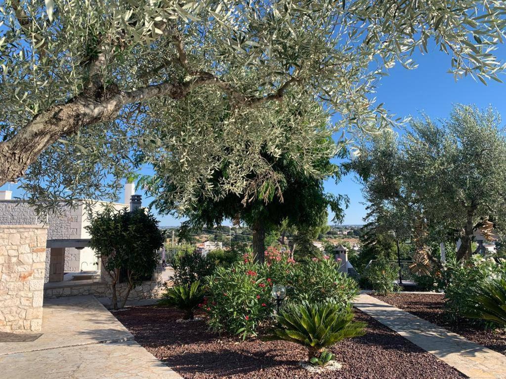 Апартаменты Maison Dei Trulli Локоротондо Экстерьер фото